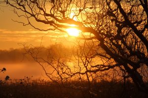 The Kingdom of God on Earth